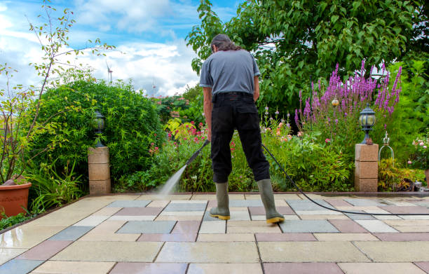 Best Winterizing Services  in Akron, OH